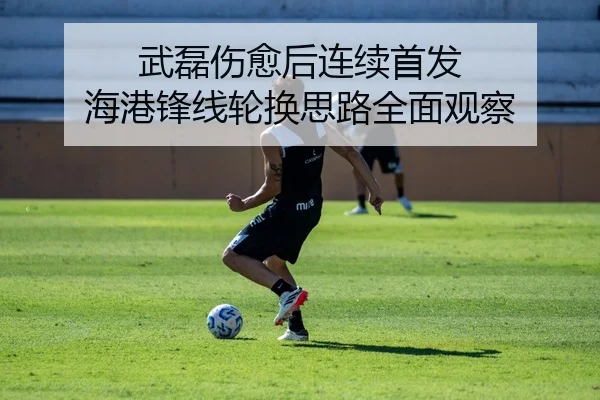 武磊伤愈后连续首发 海港锋线轮换思路全面观察